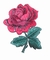 4» κόκκινος αυξήθηκε κεντημένος λουλούδι σίδηρος στο μπάλωμα με την κόλλα πίσω